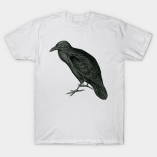 Raven T-Shirt